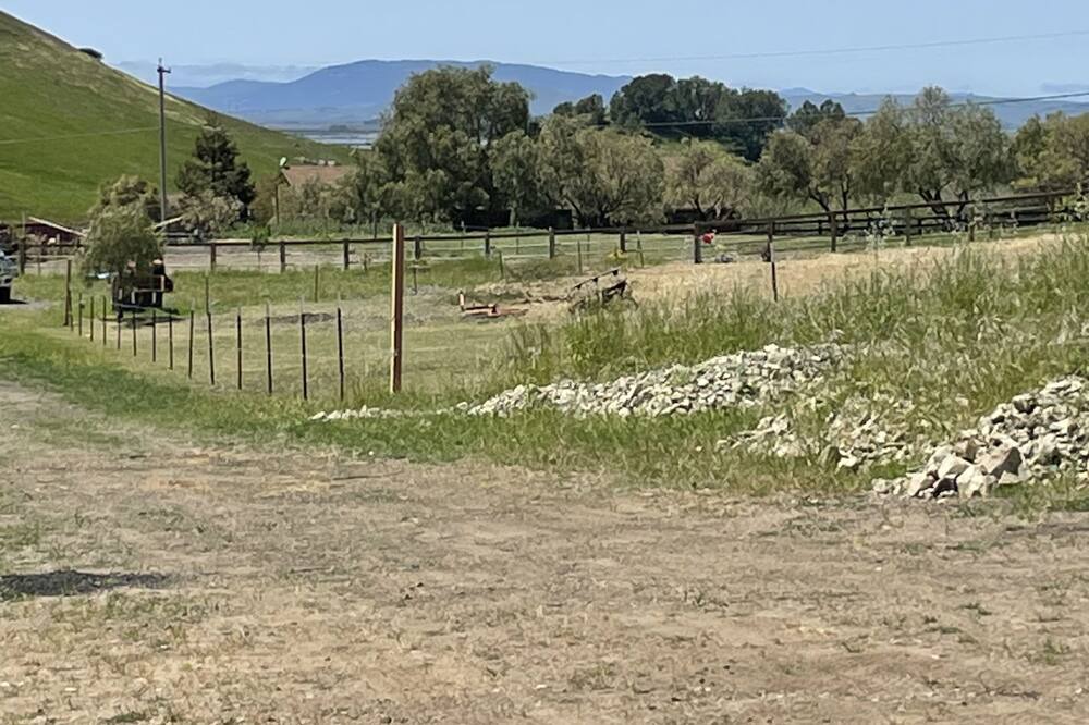 Photo of Others in American Canyon