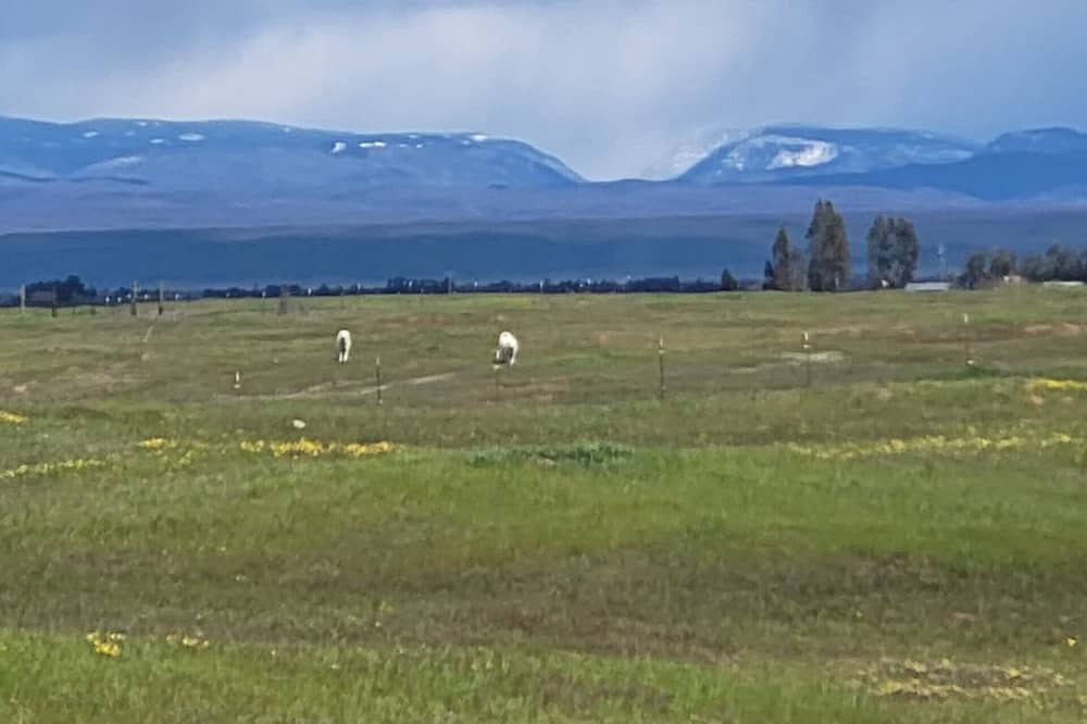 Photo of Outdoor in Flournoy