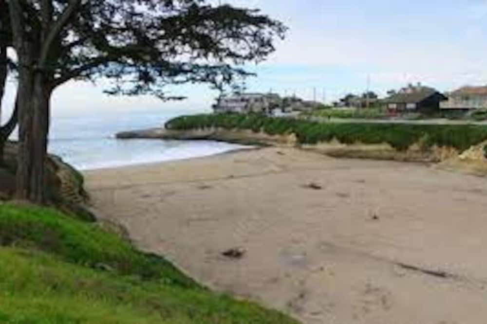 Photo of Others in Eastside Santa Cruz