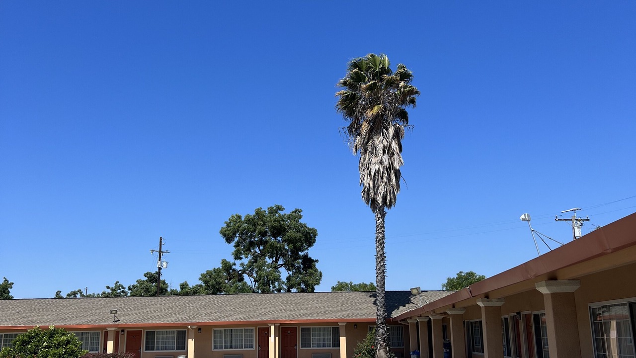 Photo of Outdoor in Gilroy