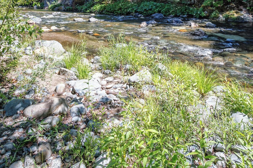 Photo of Outdoor in Coffee Creek