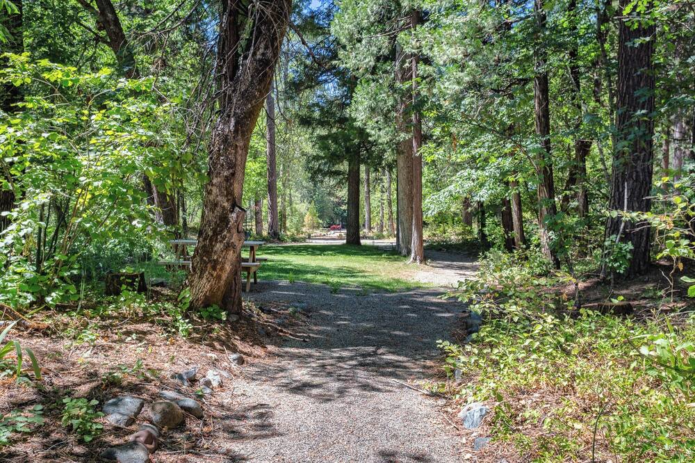 Photo of Outdoor in Coffee Creek