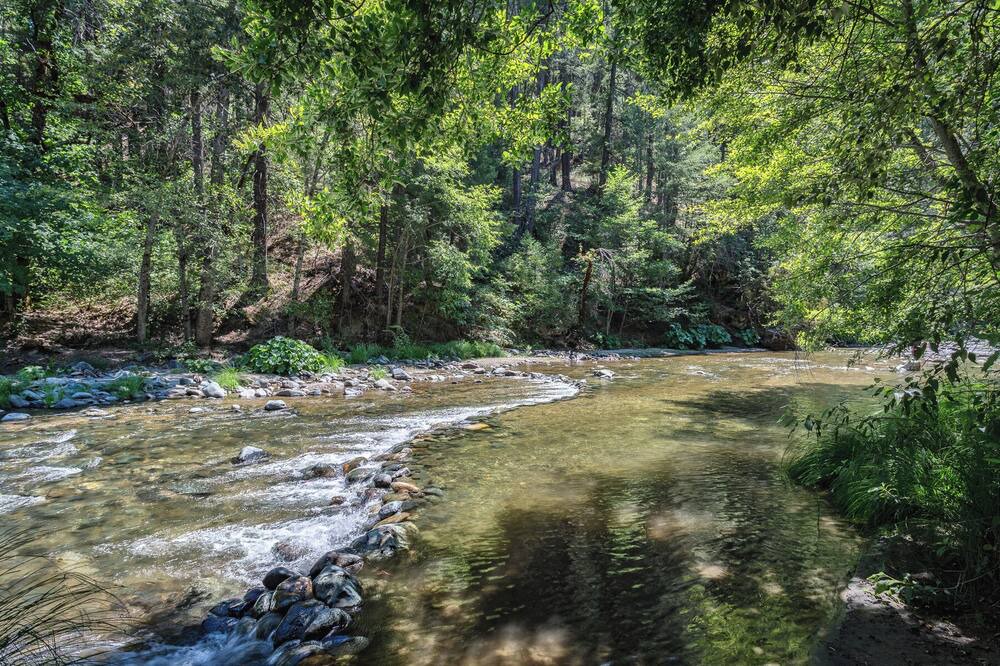 Photo of Others in Coffee Creek
