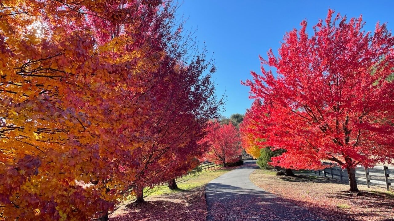 Photo of Outdoor in Penn Valley