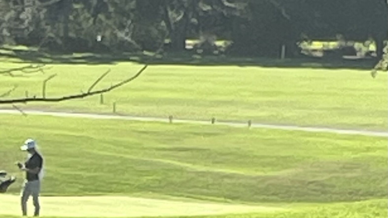 Photo of Others in Laguna Niguel