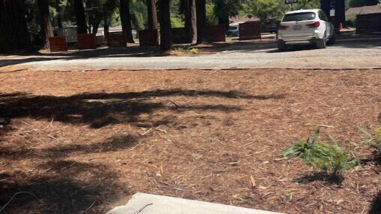Photo of Outdoor in Myers Flat