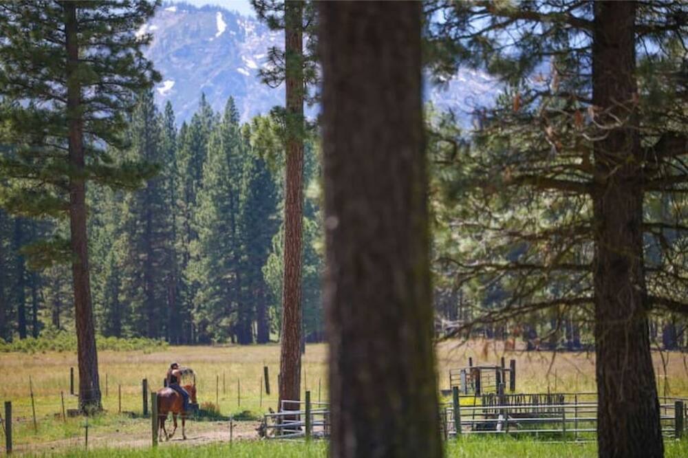 Photo of Outdoor in Plumas Eureka Estates