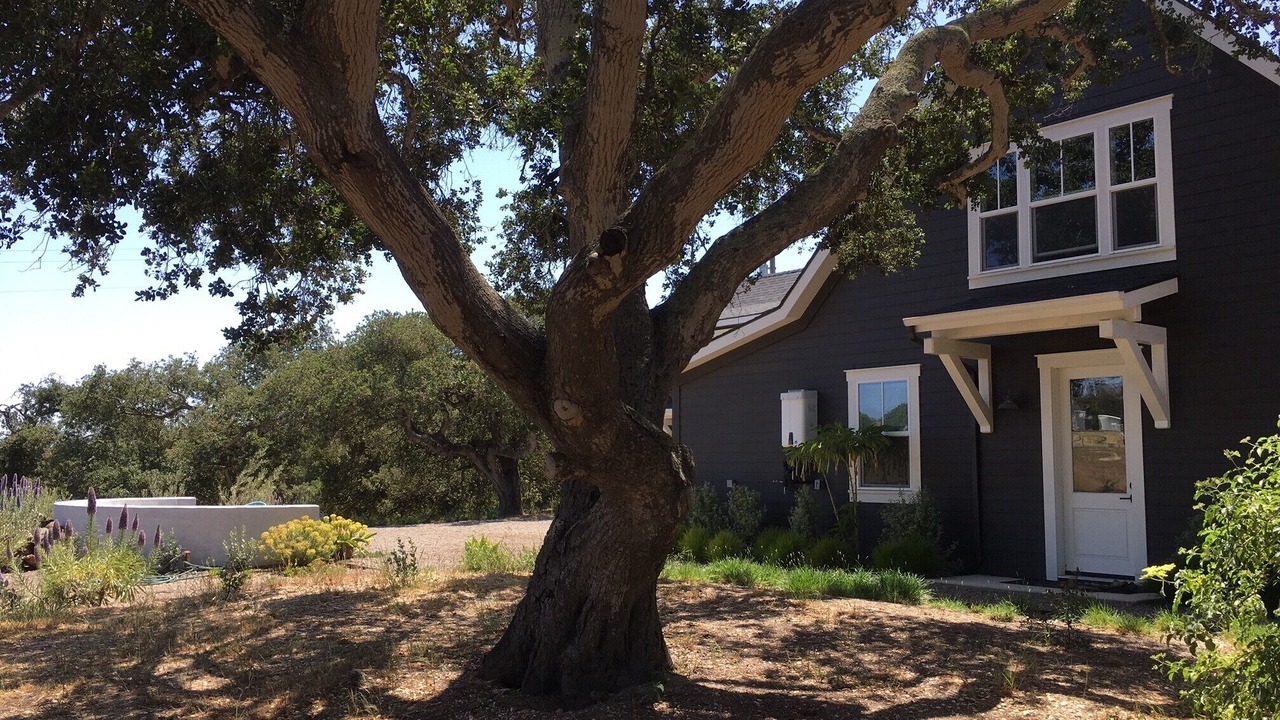 Photo of Outdoor in Arroyo Grande