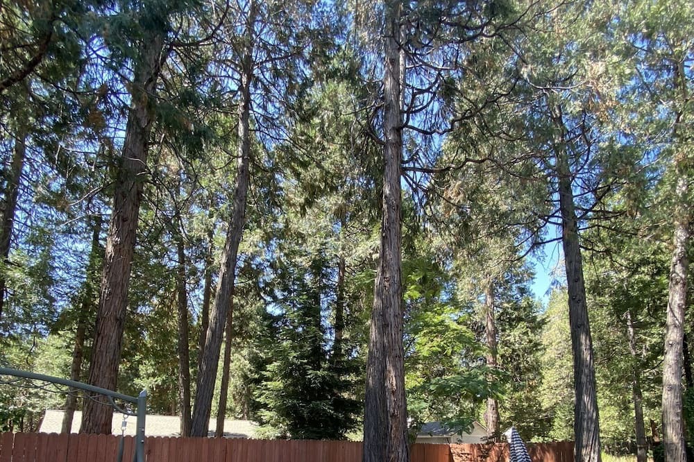 Photo of Others in Apple Hill