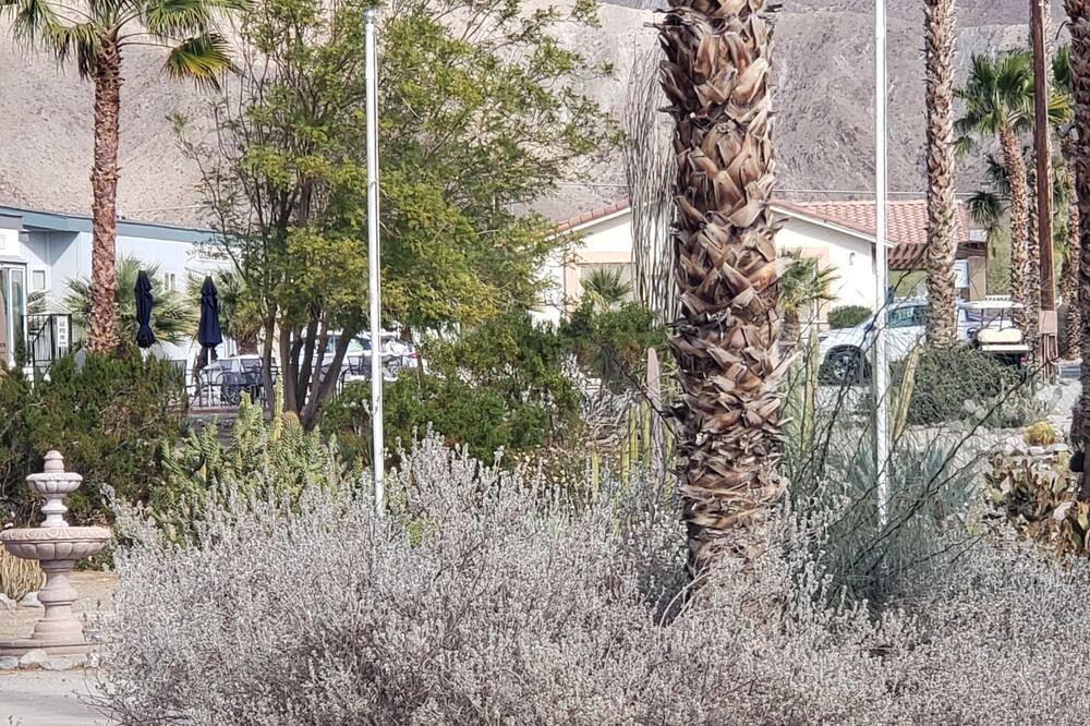 Photo of Others in Desert Hot Springs