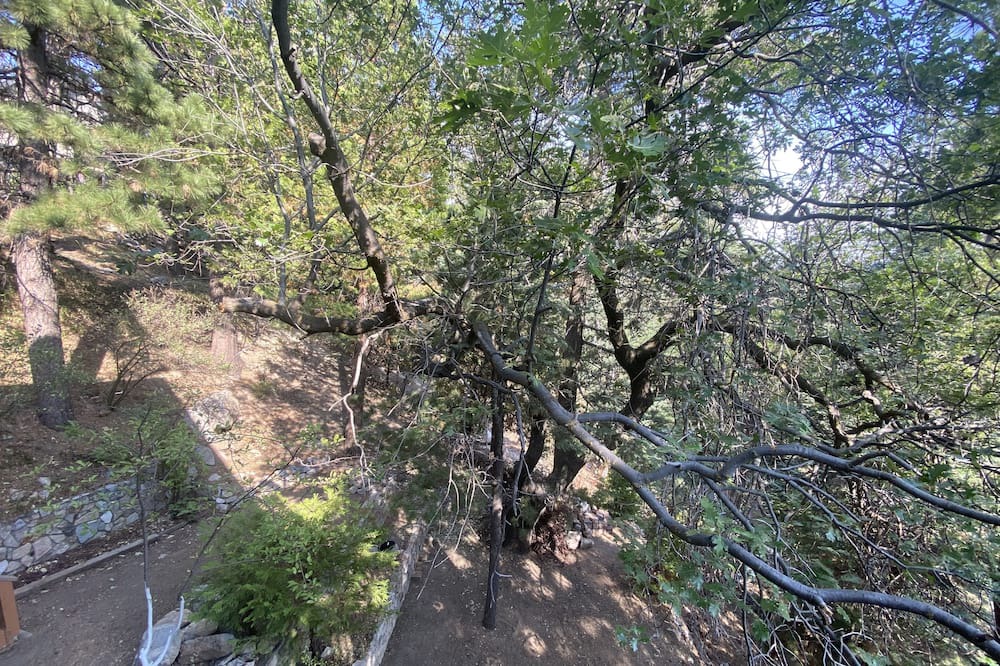 Photo of Outdoor in Blue Jay