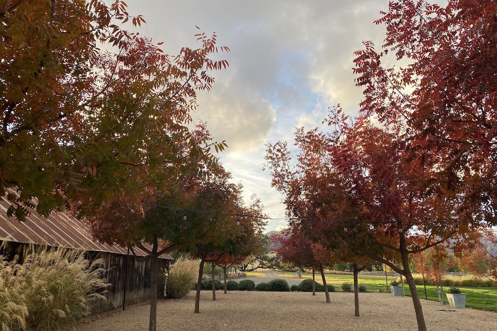 Photo of Outdoor in Winters