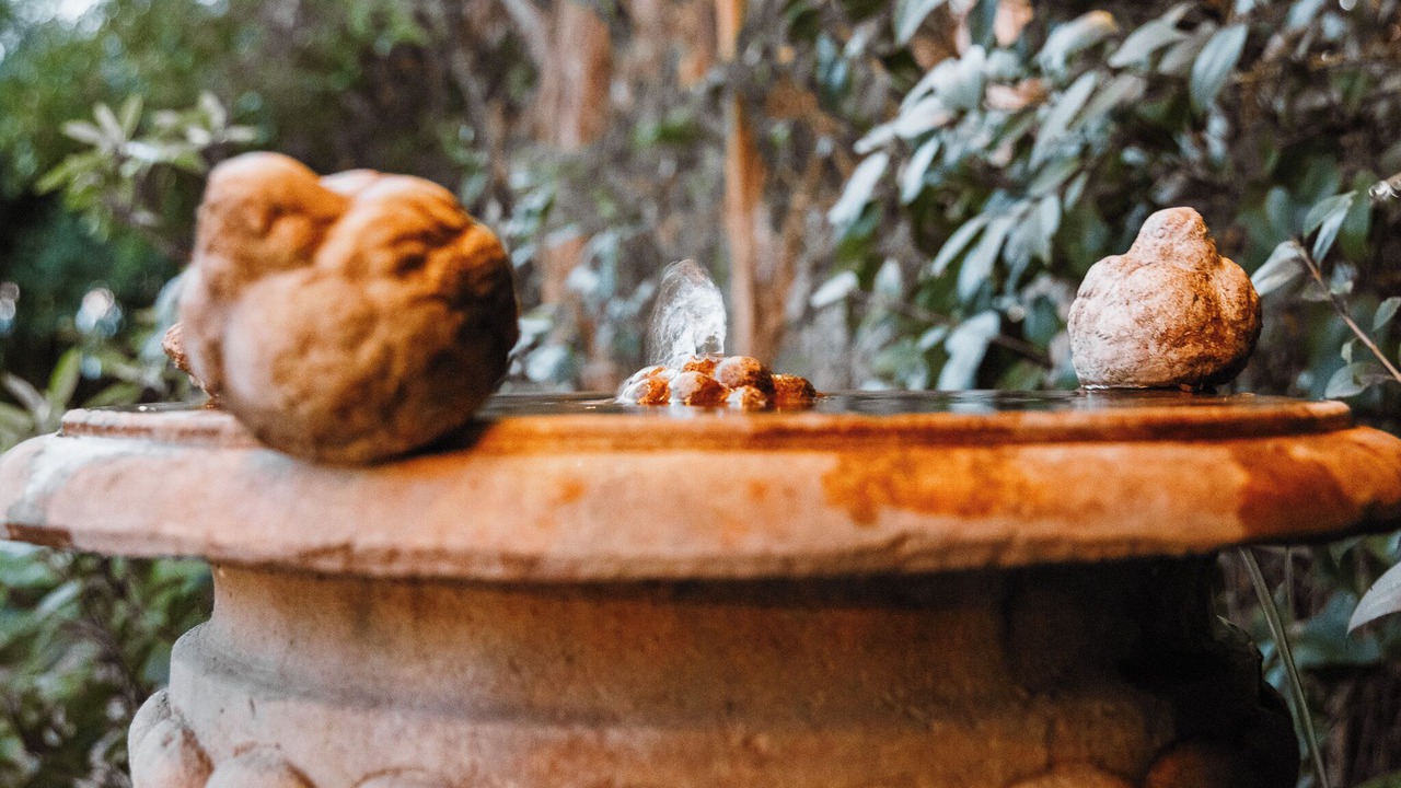 Photo of Outdoor in Nipomo