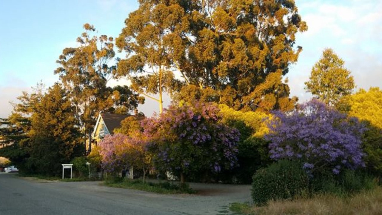 Photo of Outdoor in Nipomo