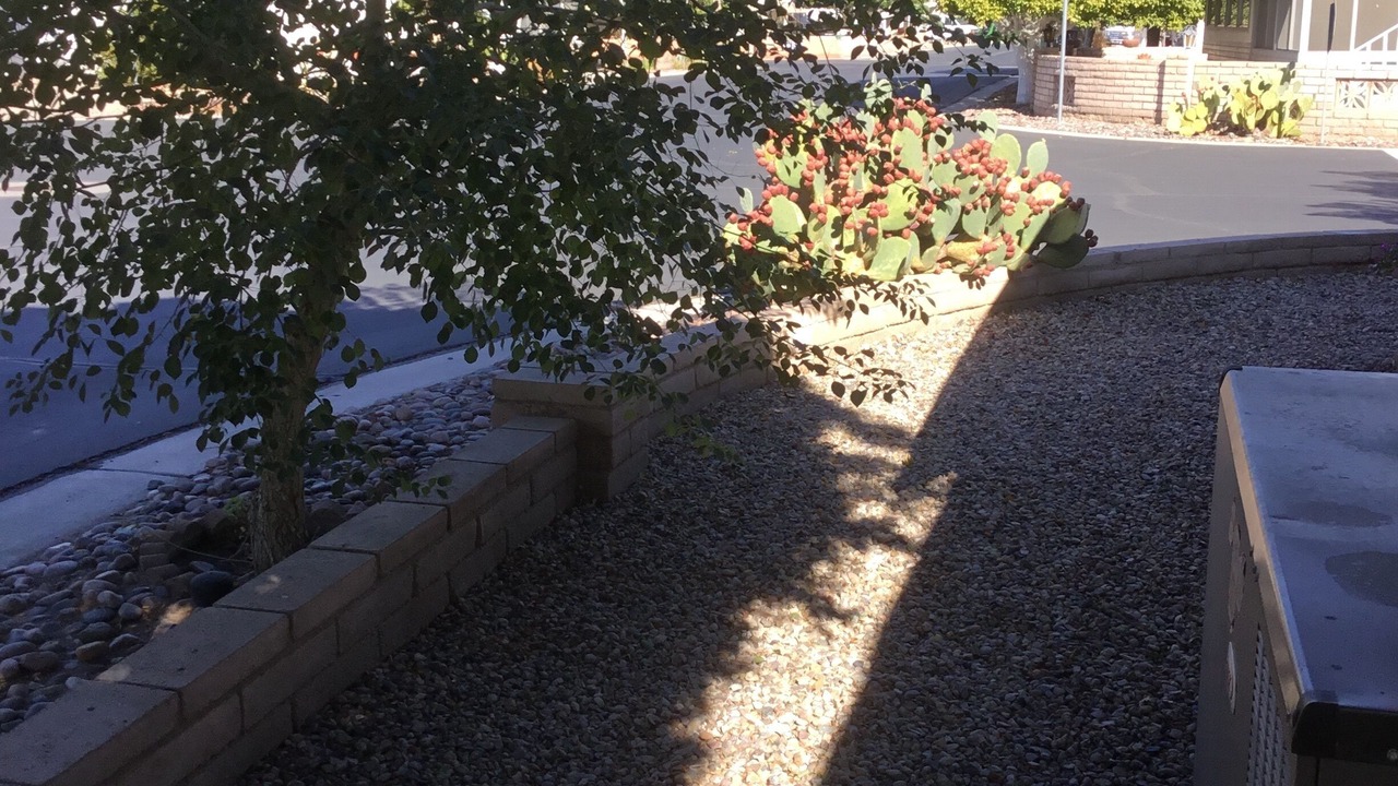 Photo of Outdoor in Yuma