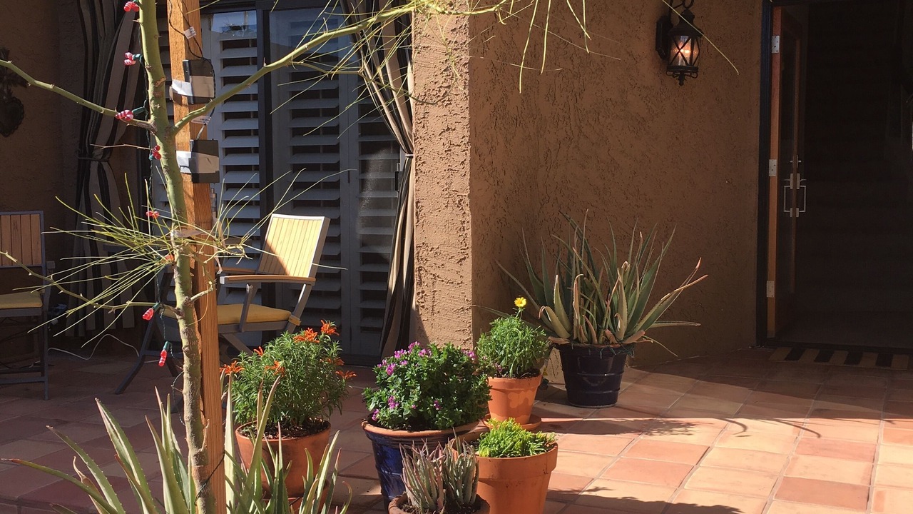 Photo of Outdoor in Palm Desert