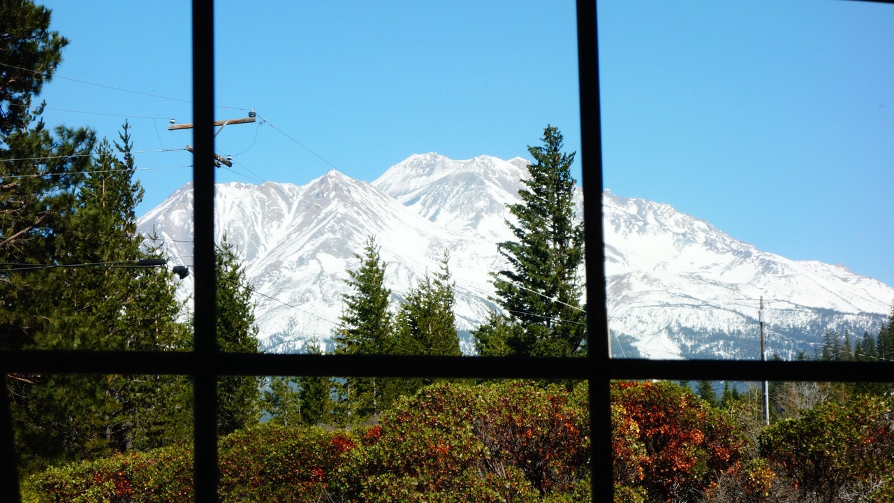 Photo of Outdoor in Mount Shasta