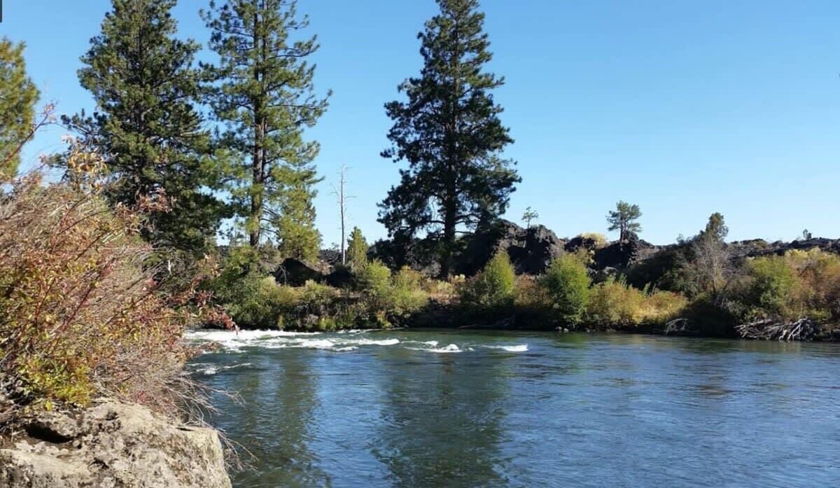 Photo of Others in Deschutes River Woods