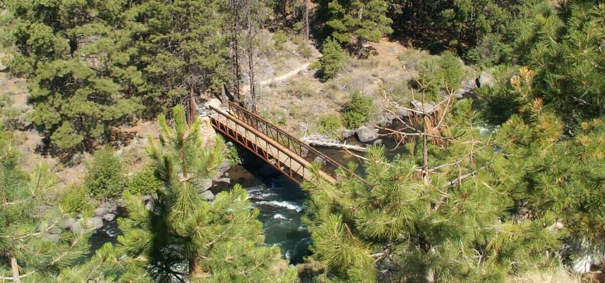 Photo of Others in Deschutes River Woods