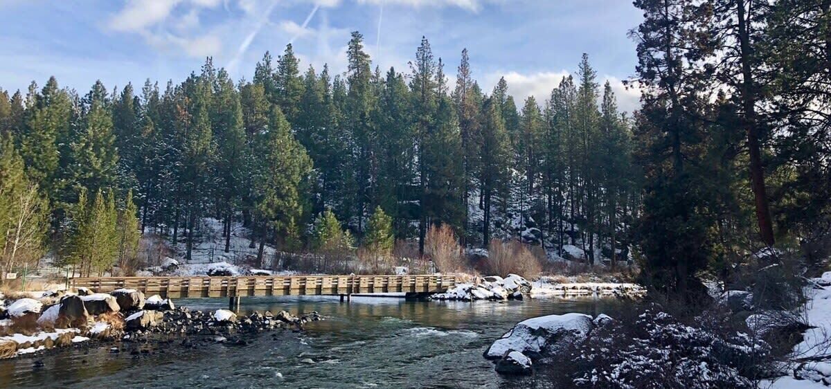 Photo of Others in Deschutes River Woods