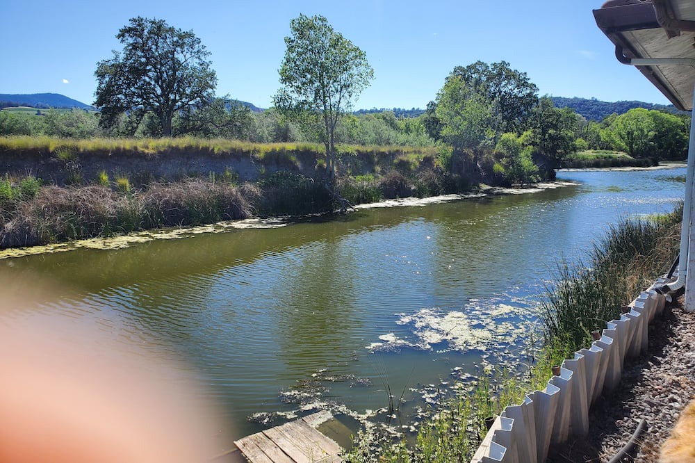 Photo of Others in Clearlake