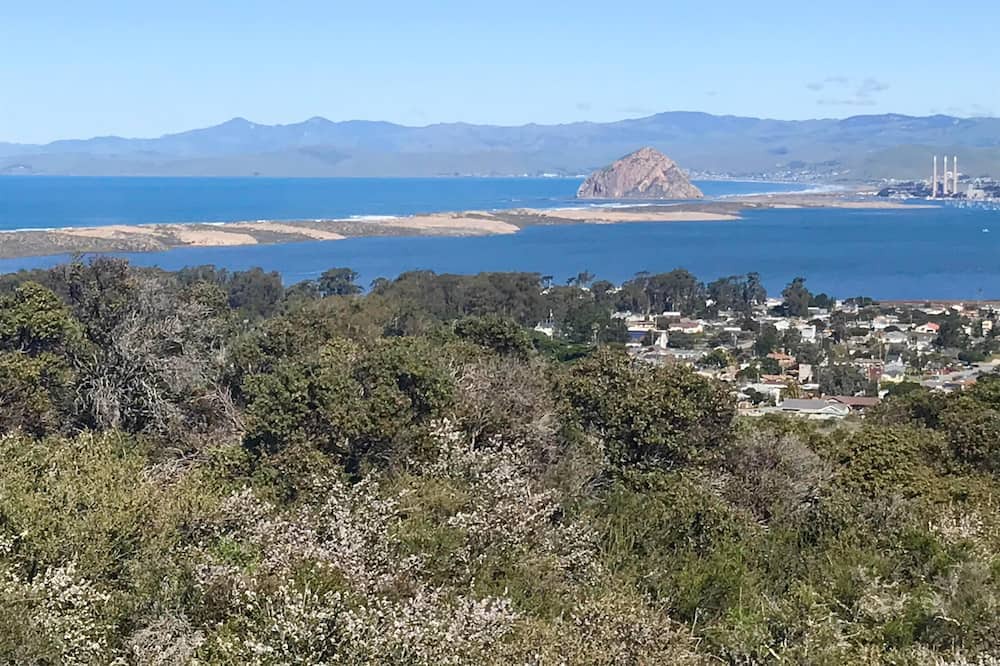 Photo of Bedroom in Baywood-Los Osos