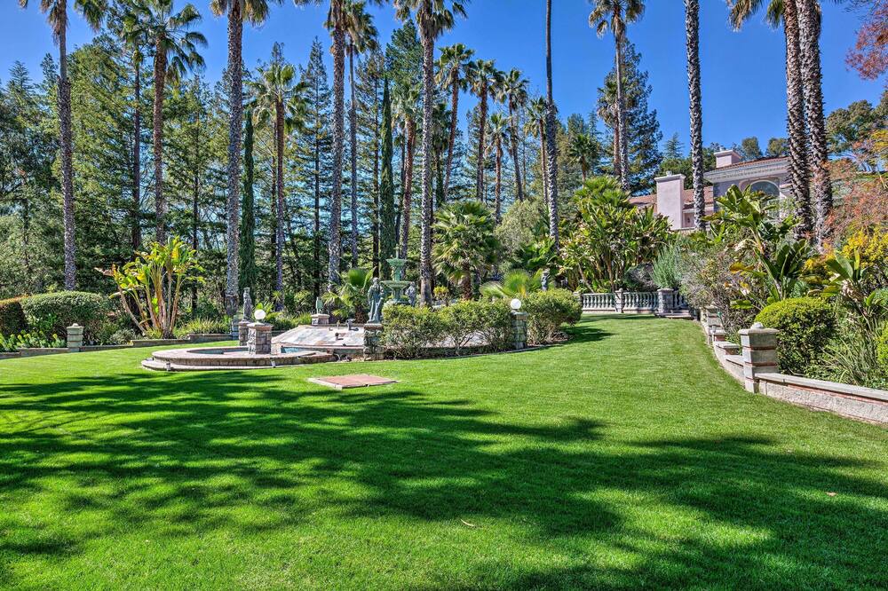 Photo of Outdoor in Los Altos Hills