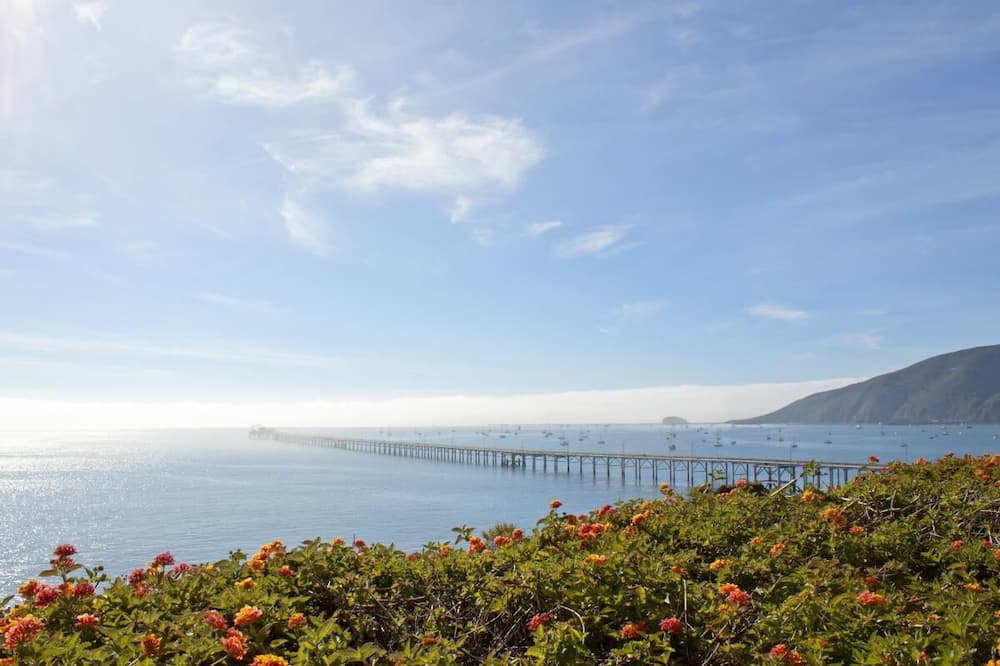 Photo of Others in Avila Beach