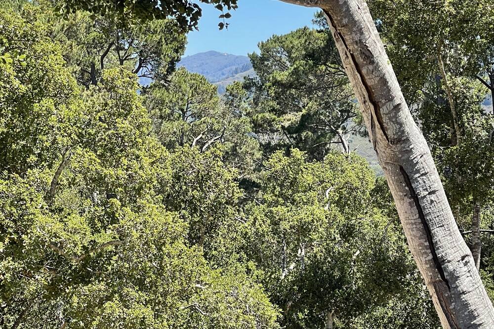 Photo of Outdoor in Rancho Rio Vista
