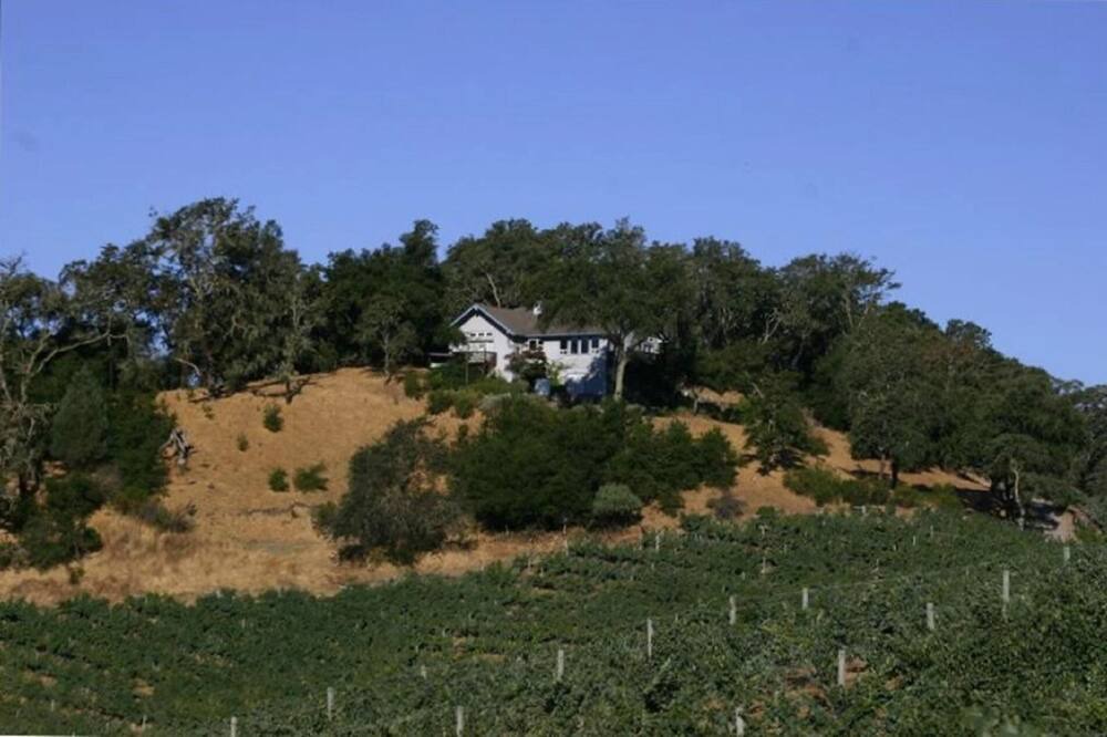 Photo of Others in Cloverdale