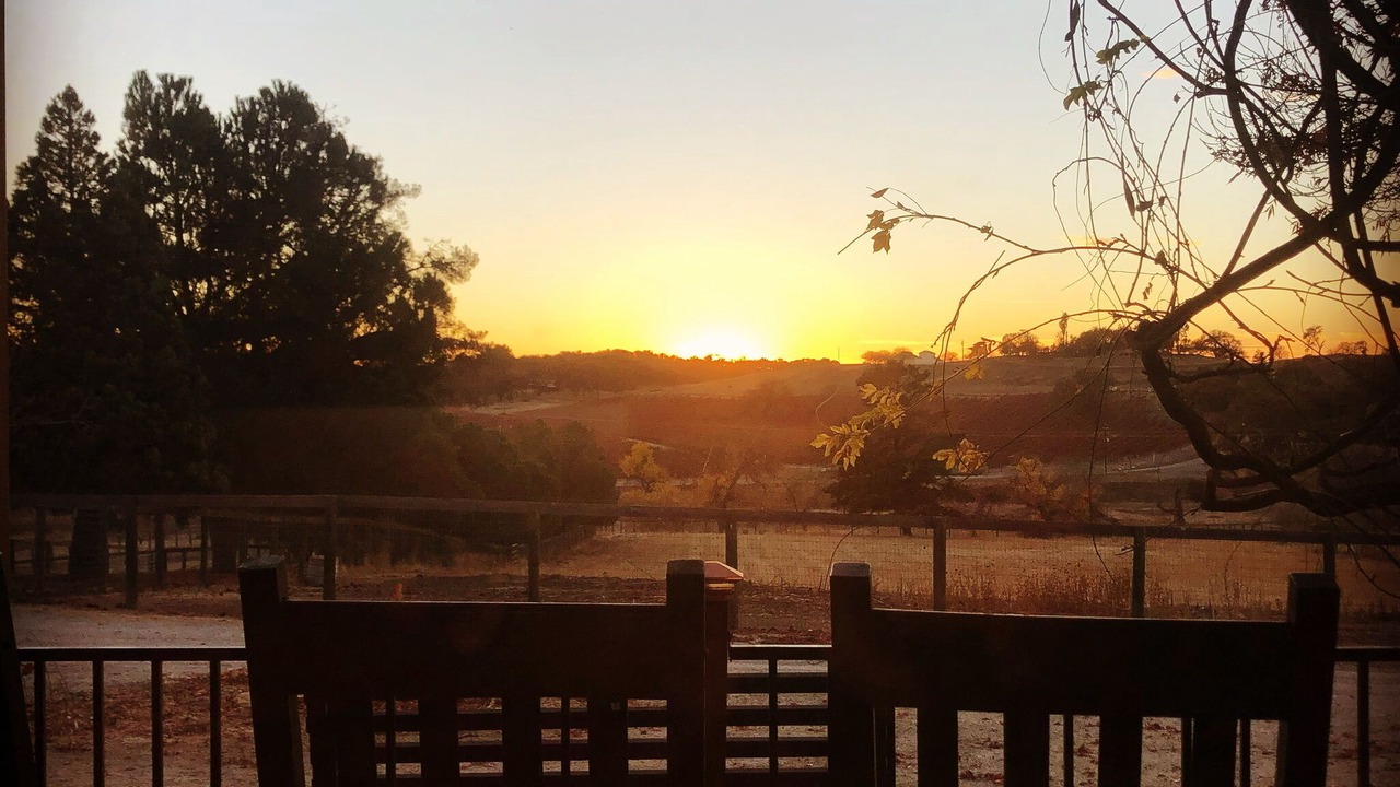 Photo of Others in Paso Robles