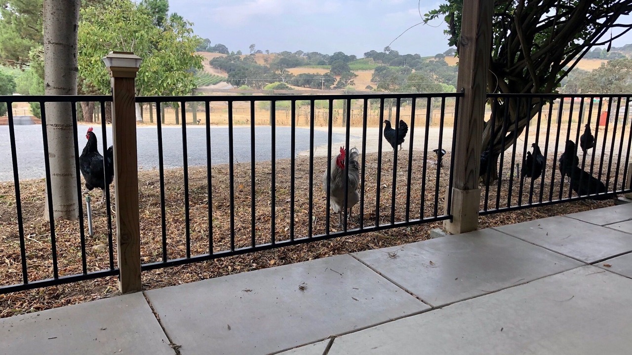 Photo of Outdoor in Paso Robles