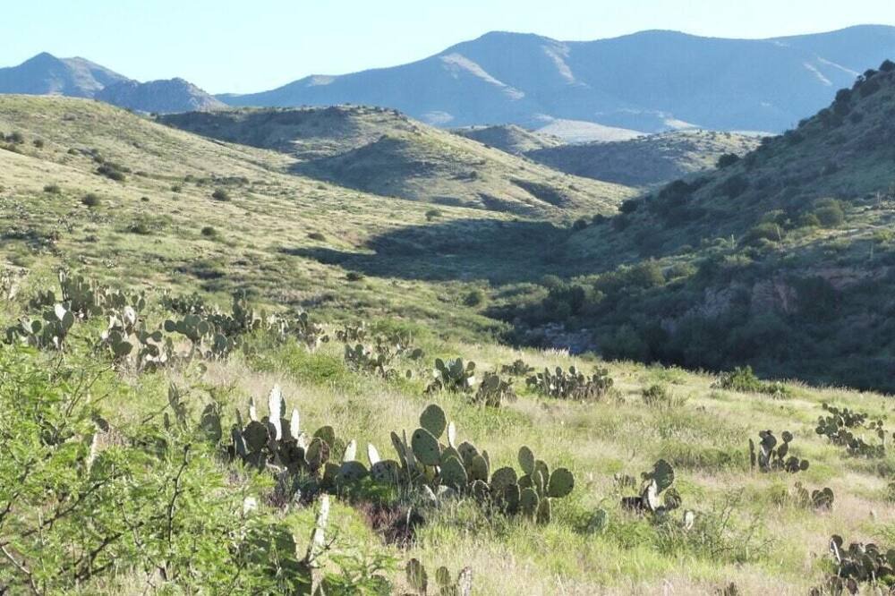 Photo of Others in Mule Creek
