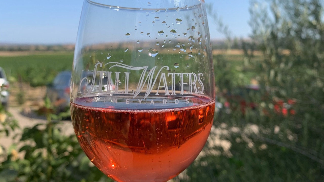 Photo of Others in Paso Robles
