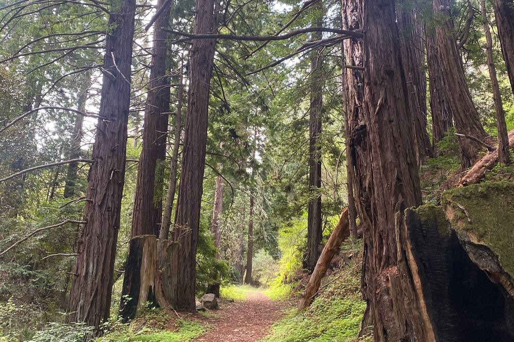 Photo of Outdoor in Carmel