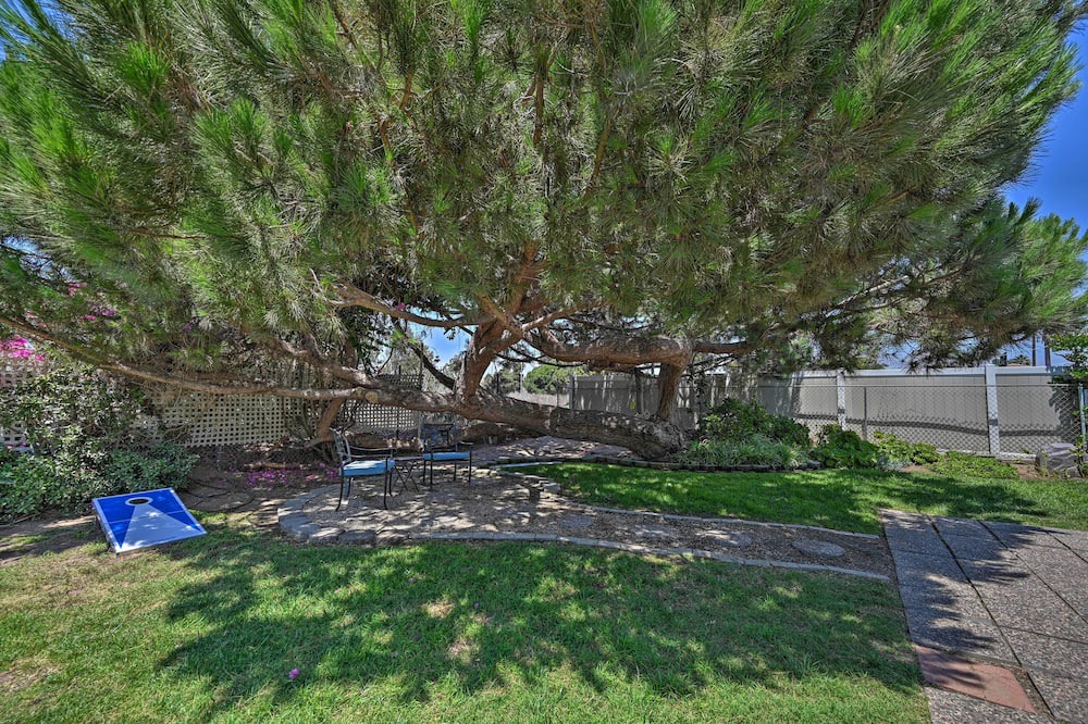 Photo of Outdoor in East Side Capistrano