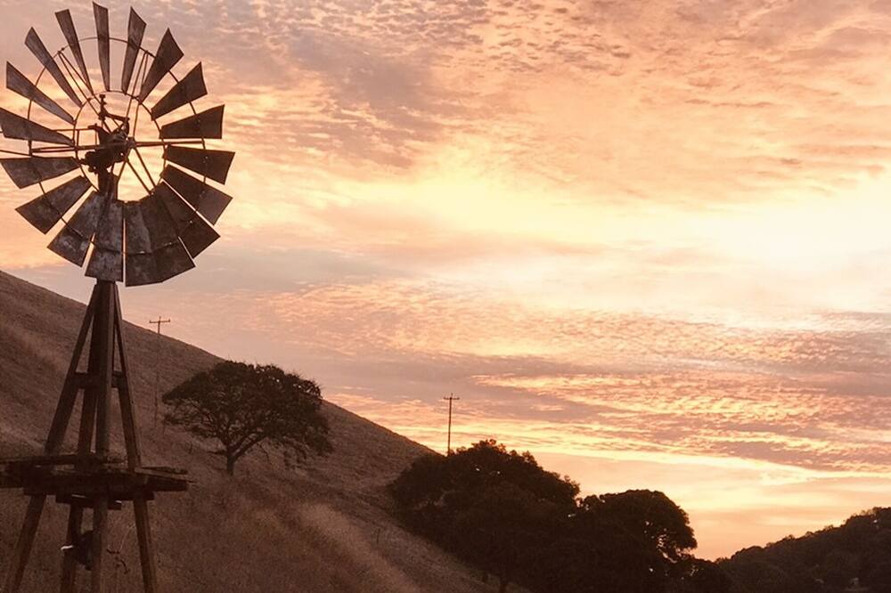Photo of Others in Martinez