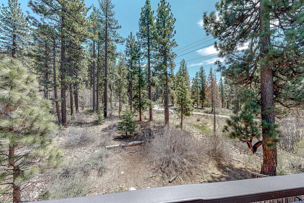Photo of Others in South Lake Tahoe