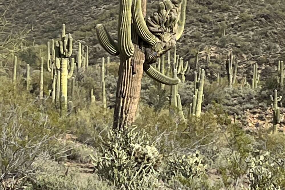 Photo of Others in Black Canyon City