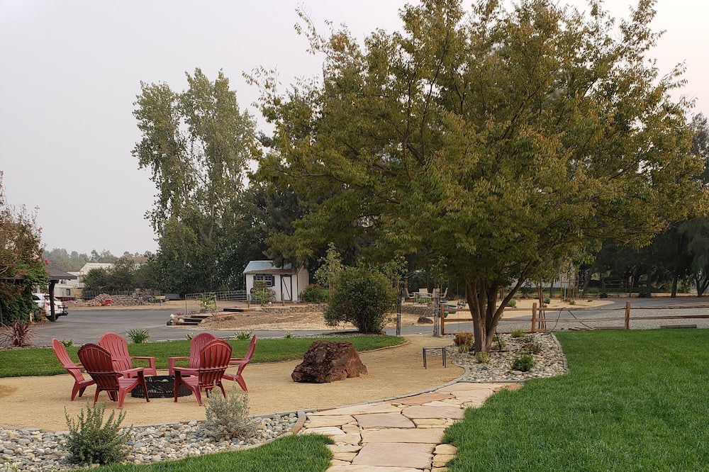 Photo of Outdoor in Woodland