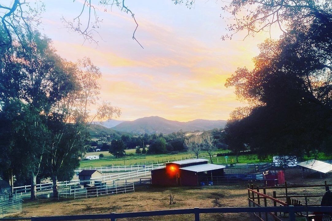 Photo of Outdoor in Alpine