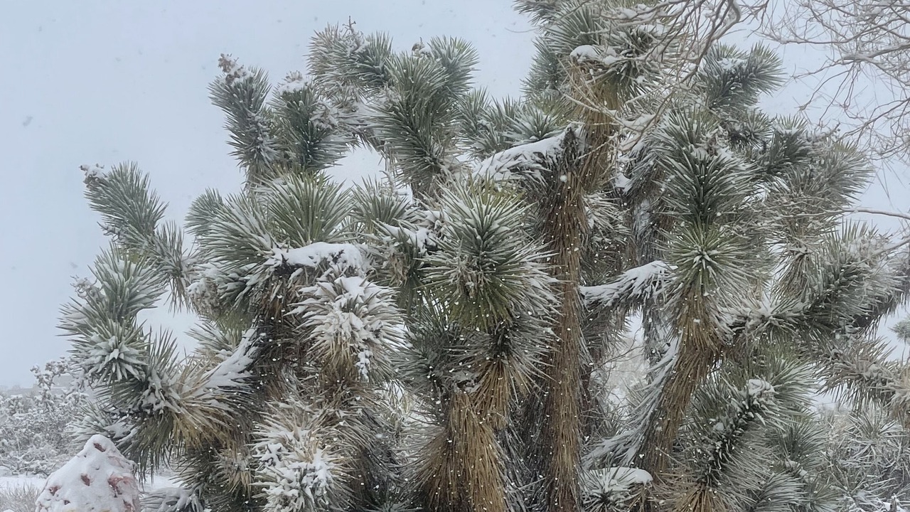 Photo of Outdoor in Joshua Tree Highlands