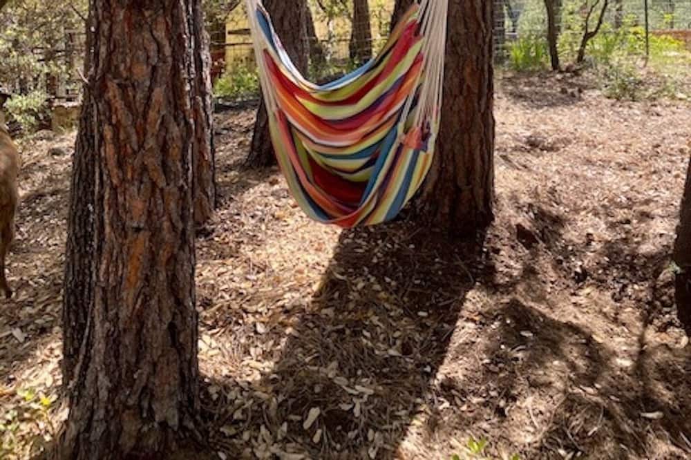 Photo of Others in Ponderosa Park