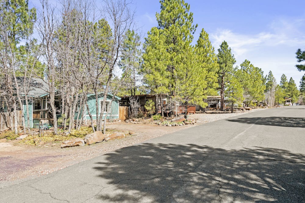 Photo of Outdoor in Munds Park