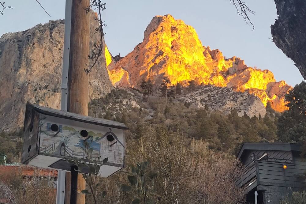 Photo of Outdoor in Mount Charleston