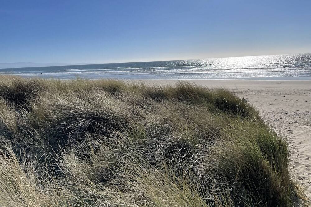 Photo of Others in Pajaro Dunes