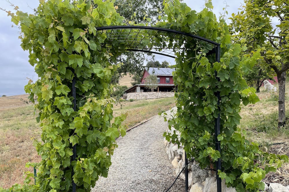 Photo of Outdoor in San Luis Obispo