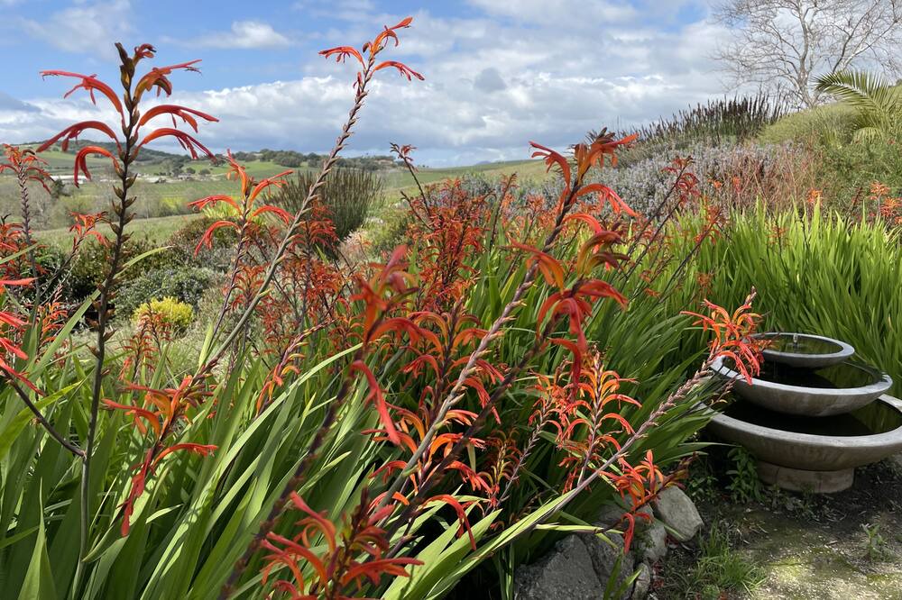 Photo of Outdoor in San Luis Obispo