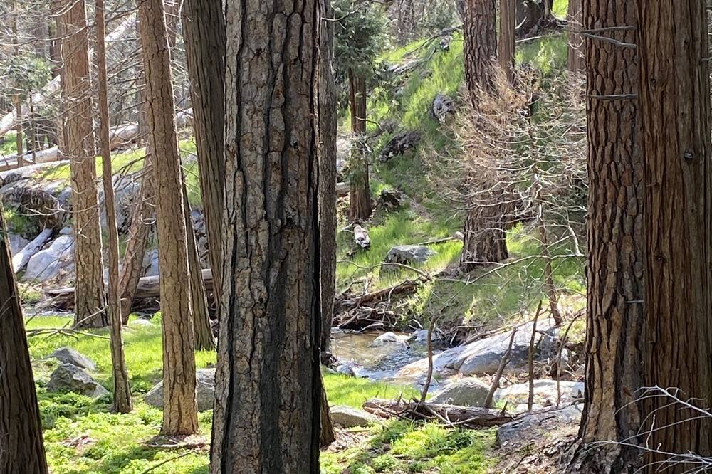 Photo of Outdoor in Posey