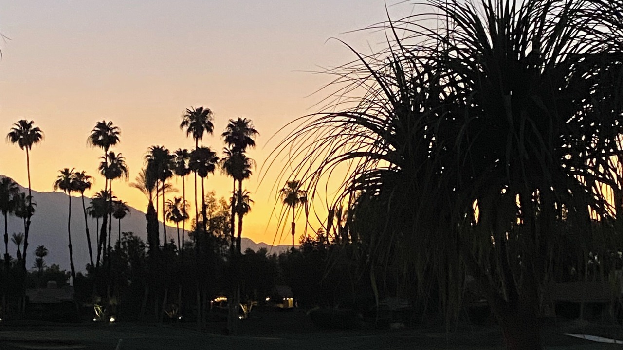 Photo of Outdoor in Palm Desert